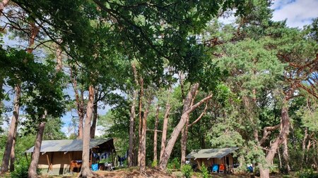 Außenansicht - Vodatent Camping het Horstmannsbos Außenansicht - Vodatent Camping het Horstmannsbos