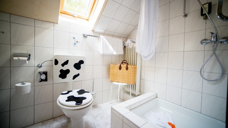 Comfort kamer - Holzchuhs Schwarzwaldhotel