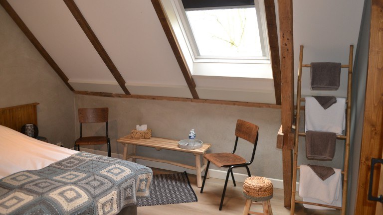 Standaardkamer - Bed and Breakfast Aan de Beek