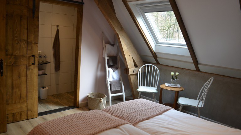 Standaardkamer - Bed and Breakfast Aan de Beek