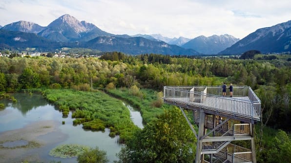 Umwelt - Die Lilie - Hotel Garni