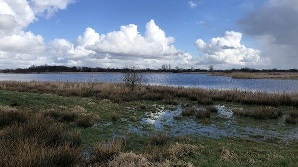 Omgeving - Hotel Onder de Linden