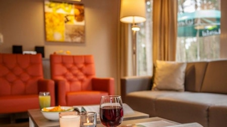 Woonkamer - Landal Coldenhove