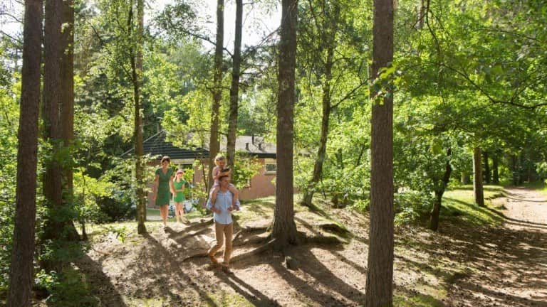 Landal Miggelenberg In Hoenderloo Voordeeluitjes Nl