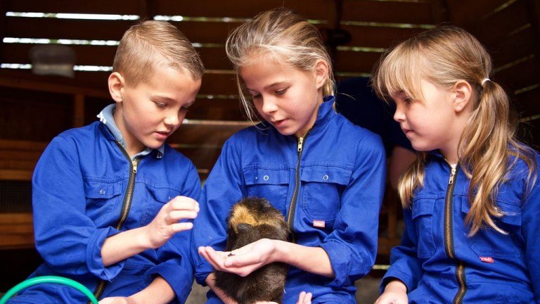 Dieren - Landal Miggelenberg