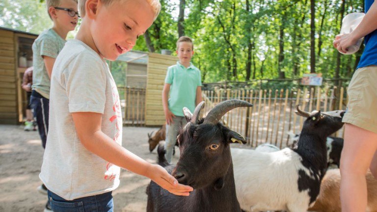 Dierenweide - Landal Rabbit Hill