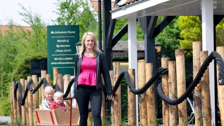 Bolderkar - Landal Resort Haamstede