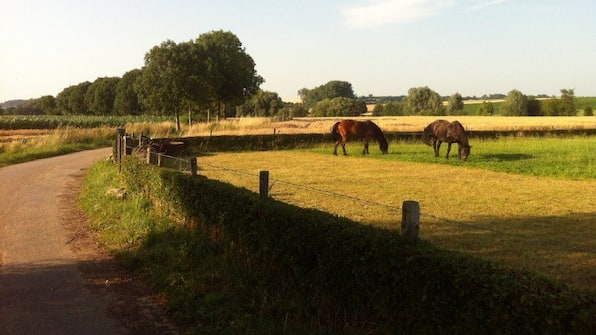 Umwelt - Abdij Hotel Rolduc Umwelt - Abdij Hotel Rolduc