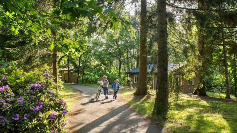 Op het park - Landal Heideheuvel