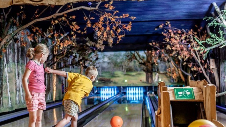 Bowling - Landal Heideheuvel