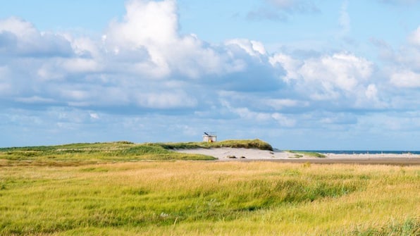 Omgeving - Landal West Terschelling