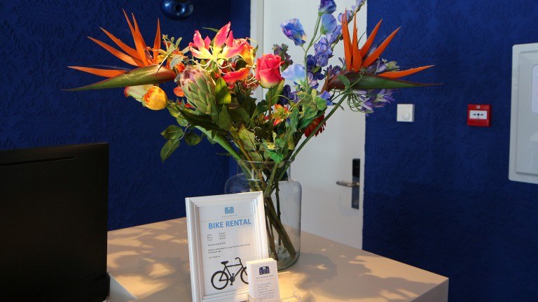 Receptie - Blue Mansion Hotel