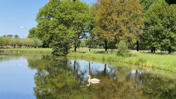 Vijver - Kasteel Sterkenburg