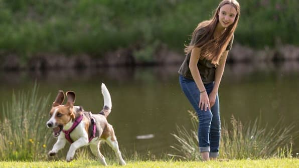 Honden - Landal Wirfttal