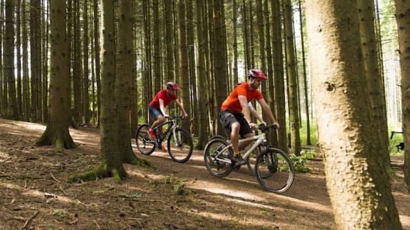 Mountainbike - Landal Wirfttal Mountainbike - Landal Wirfttal