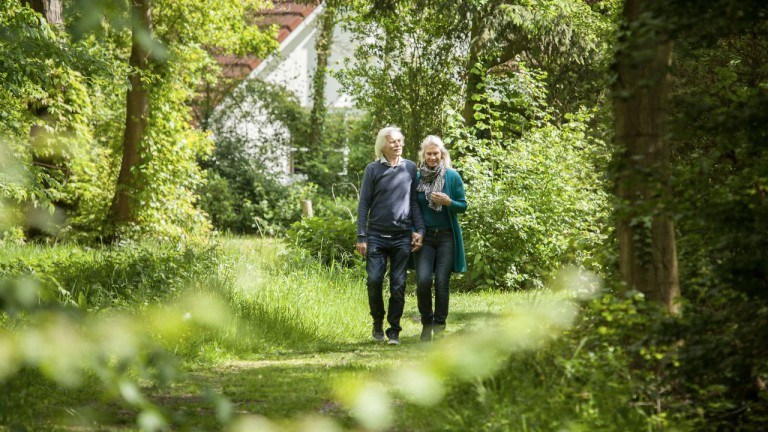 Wandelen - Landal Landgoed Aerwinkel