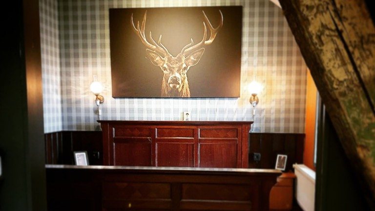 Steenuil - Logement Doosje