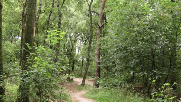 Omgeving - Hotel Udens Duyn