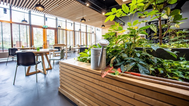 Restaurant - Notiz Hotel