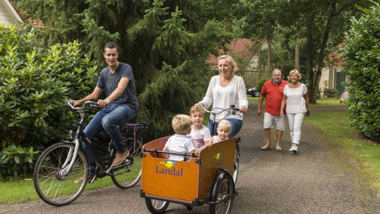 Fietsen - Landal De Vlegge