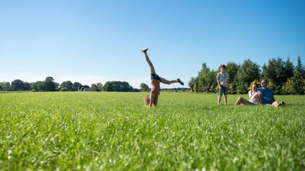 Natuur - Landal De Vlegge Natuur - Landal De Vlegge