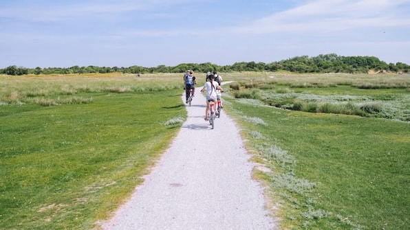 Fietsen - Boutique Hotel Zaan