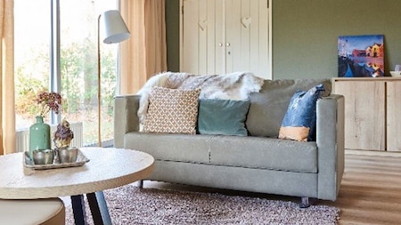 Wohnzimmer - Landal Natuurdorp Suyderoogh Wohnzimmer - Landal Natuurdorp Suyderoogh