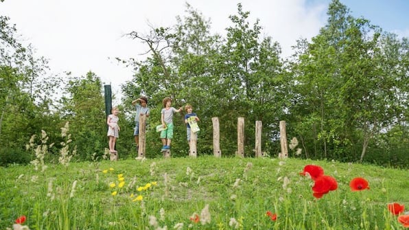 Speeltuin - Landal Natuurdorp Suyderoogh