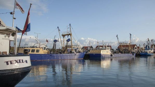 Omgeving - Landal Villapark Vogelmient