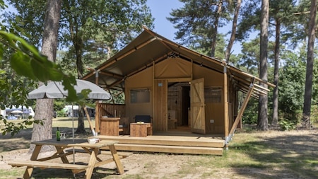 Außenansicht - Roompot Bospark t Wolfsven