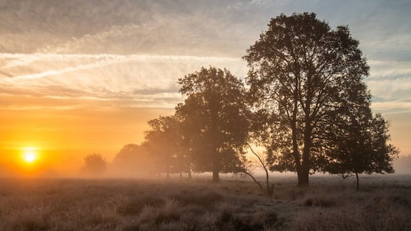 Omgeving - Fietsvakantie door Oer Drenthe
