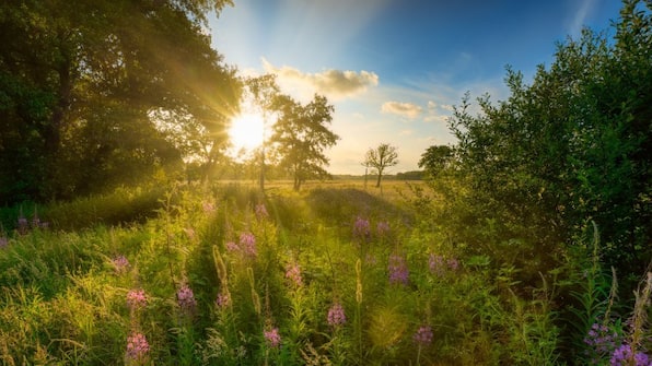 Omgeving - Fietsvakantie door Oer Drenthe