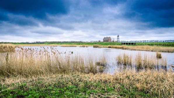 Omgevingsfoto met een meertje en een gebouw in de verte.