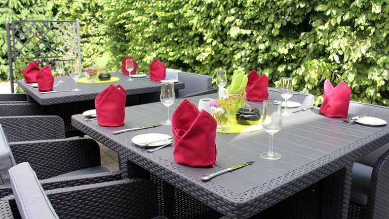 Terras - Hotel am Mühlenteich
