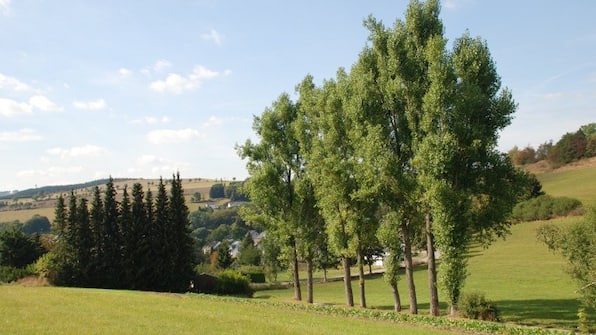 Umwelt - Pension Robin Hood Umwelt - Pension Robin Hood