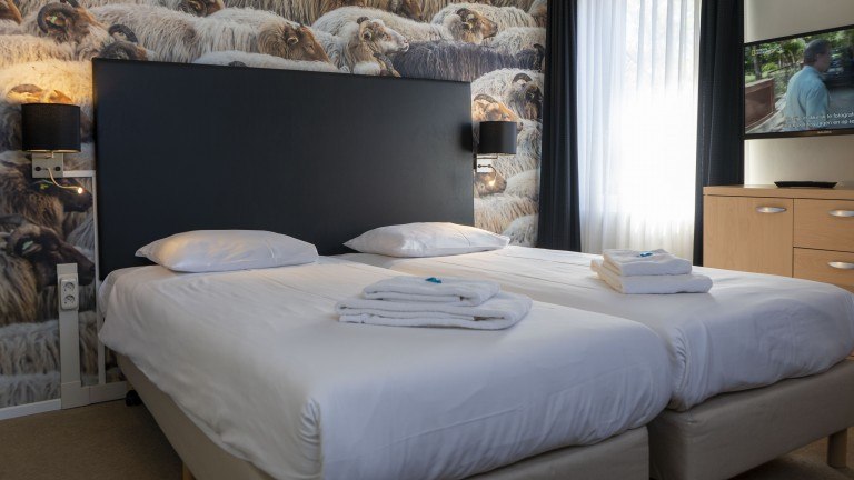 Standaardkamer - Wandelvakantie Langs de Hunebedden