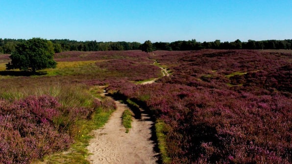 Umwelt - Wandelvakantie Langs de Hunebedden