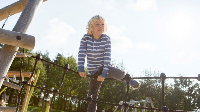 Speeltuin - Landal Dwergter Sand