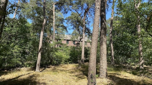 Wald - Hotel Kapellerput Druck