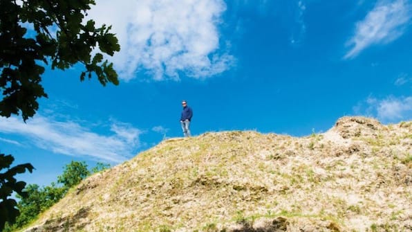 Omgeving - Landal Résidence t Hof van Haamstede