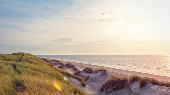 Omgeving - Landal Résidence t Hof van Haamstede