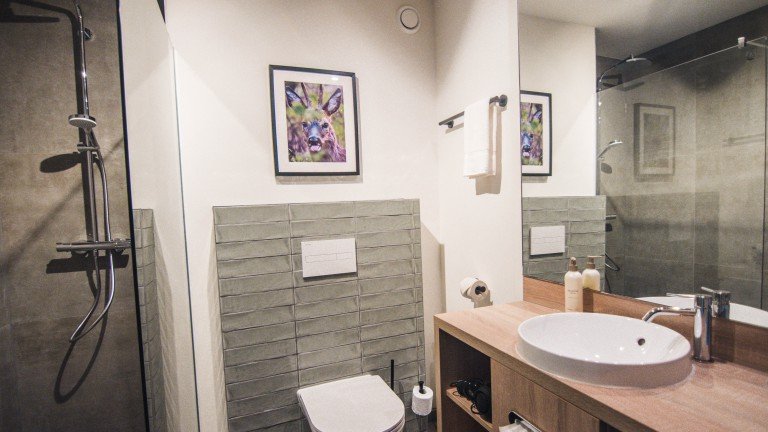 Deluxe kamer met terras - Witte Berken Natuurhotel