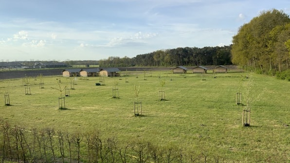 Safaritenten - Vodatent Camping De Heerlijkheid Vorenseinde