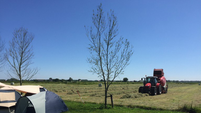 Camping - Vodatent Boerencamping Swarthoeve