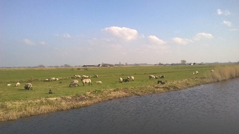 Umwelt - Vodatent Boerencamping Swarthoeve