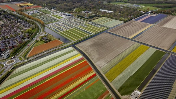 Omgeving - Van der Valk Palace Hotel Noordwijk Omgeving - Van der Valk Palace Hotel Noordwijk