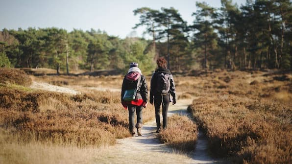 Umgebung - Hotel Hulsman Umgebung - Hotel Hulsman