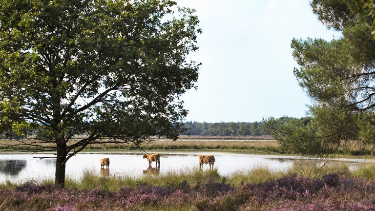 Omgeving - Van der Valk Hotel Venlo
