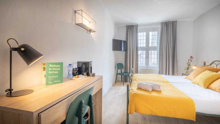 Standaardkamer - Hotel Nieuw Antiek