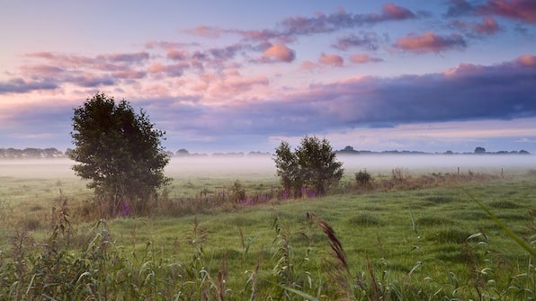 Omgeving - Wandelvakantie Over de Hondsrug